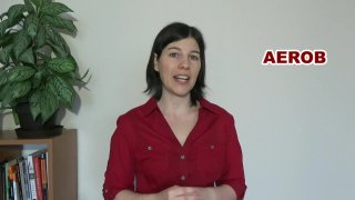 15. rész - Ketogén diéta hatása a sportteljesítményre