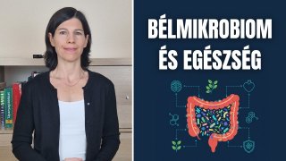 BÉLMIKROBIOM ÉS EGÉSZSÉG