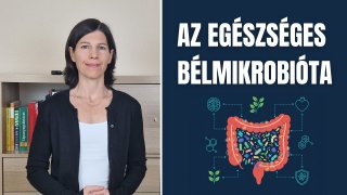 Az egészséges bélmikrobióta kialakulása és összetétele