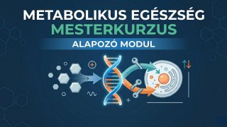 Metabolikus Egészség Mesterkurzus - ALAPOZÓ MODUL