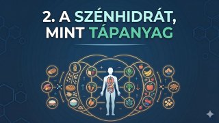 2. A szénhidrát, mint tápanyag