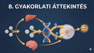 8.  Gyakorlati áttekintés