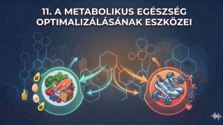 11. A metabolikus egészség optimalizálásának eszközei