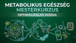 Metabolikus Egészség Mesterkurzus II. MODUL