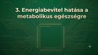 3. Energiabevitel hatása a metabolikus egészségre