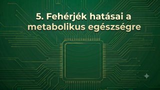 5. Fehérjék hatásai a metabolikus egészségre