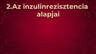 Az inzulinrezisztencia alapjai